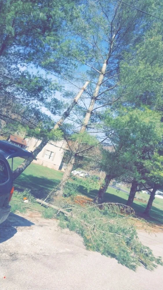 Reliable yard cleanup service experts serving Chapmanville, WV - Perfection Landscape