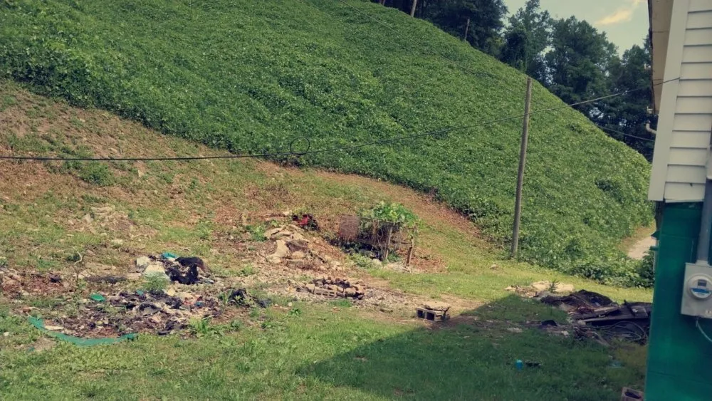 Custom lawn mowing service near you in Chapmanville, WV by Perfection Landscape