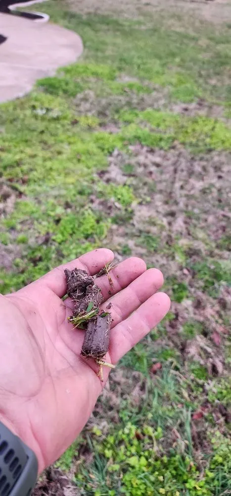 Reliable landscape design near you across Liberty Hill, TX - Perfection Landscape