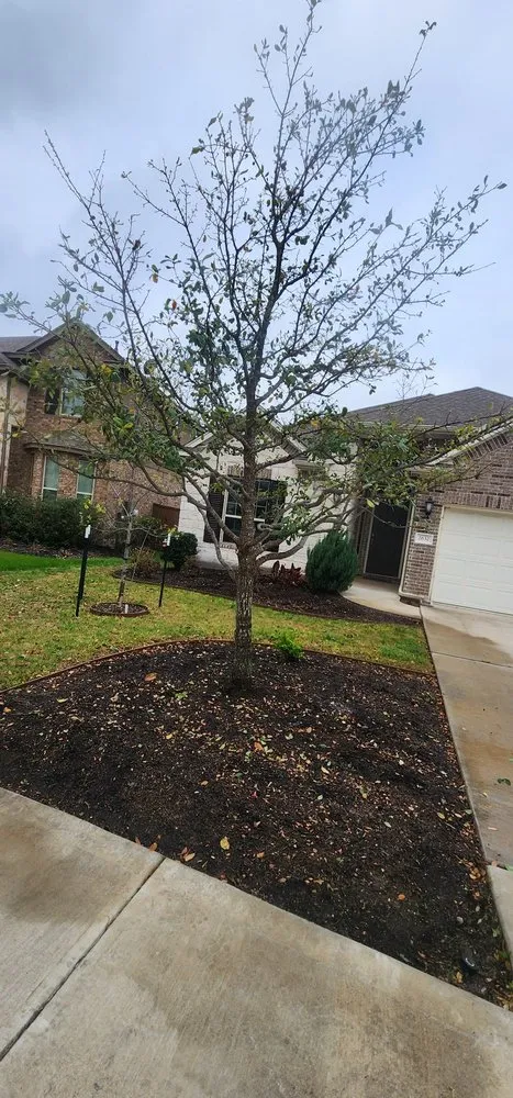 Local landscaping services experts serving Liberty Hill, TX - Perfection Landscape