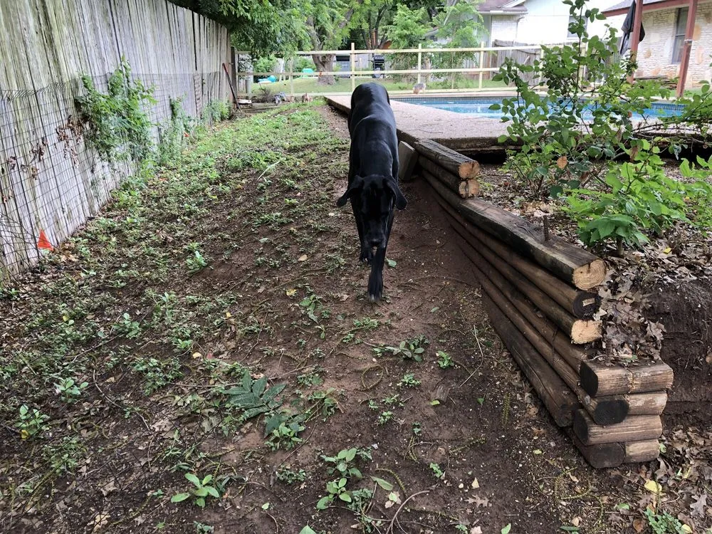 Professional landscape design near you across Liberty Hill, TX - Perfection Landscape