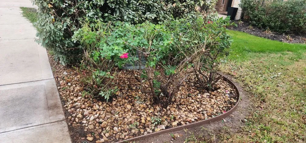 Expert lawn care service experts serving Liberty Hill, TX - Perfection Landscape