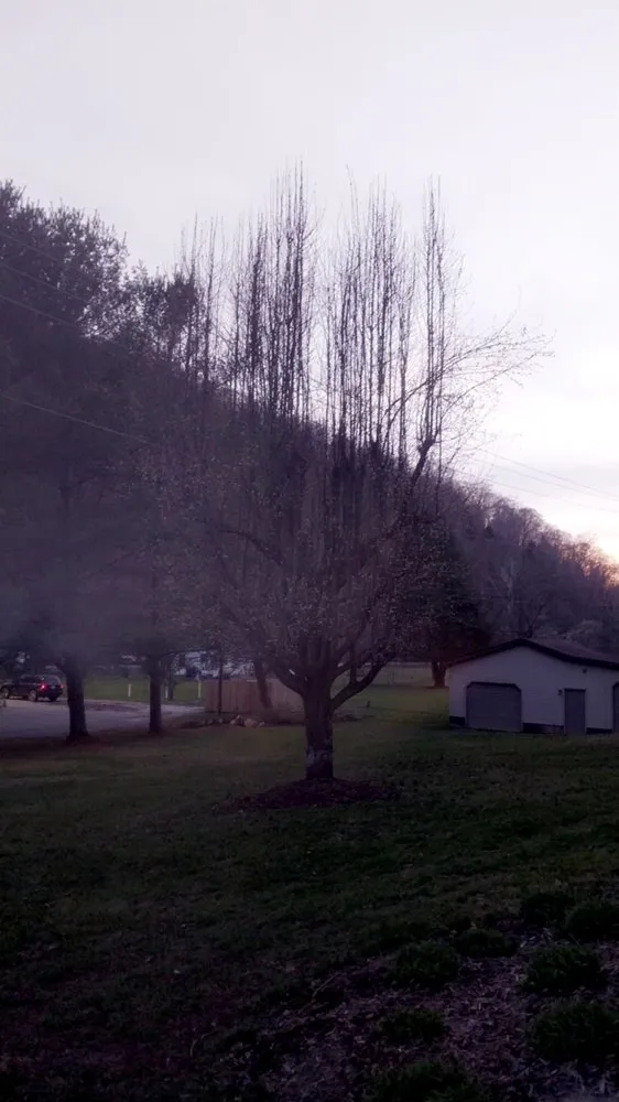 Top-rated lawn mowing service with custom design across Pecks Mill, WV - Perfection Landscape