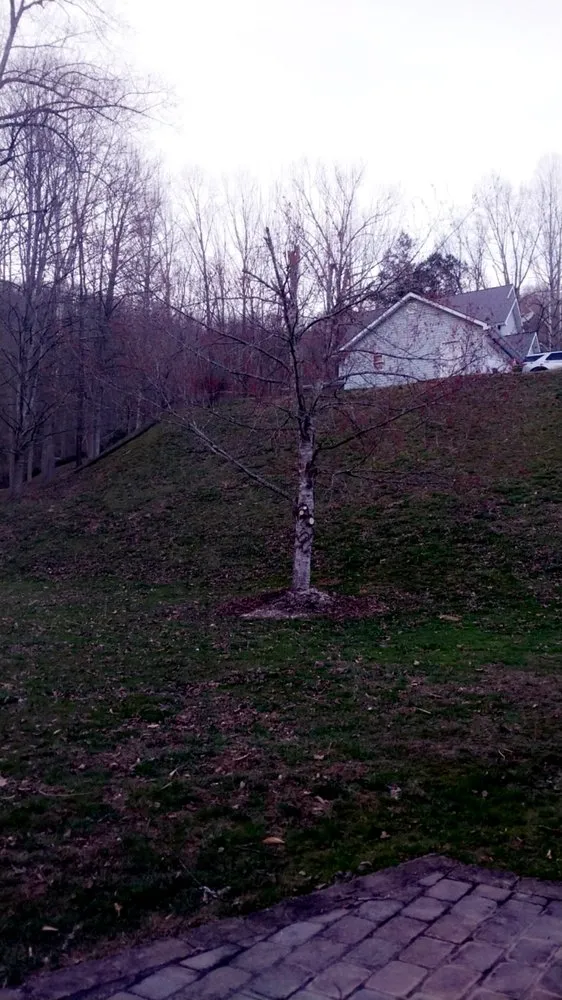 Custom landscape design for residential properties in Pecks Mill, WV by Perfection Landscape