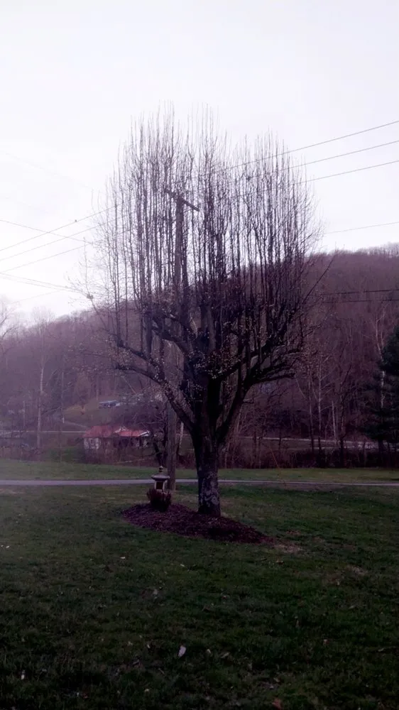 Reliable residential landscaping in Pecks Mill, WV by Perfection Landscape