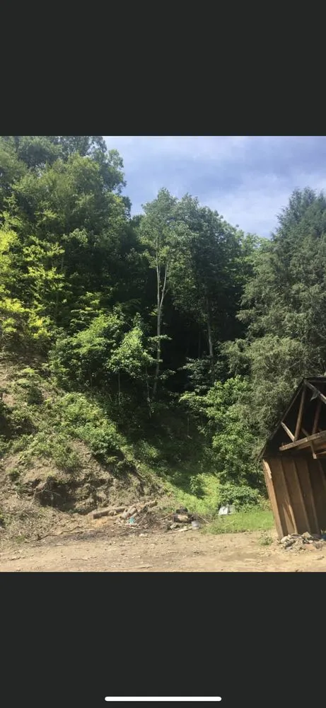 Custom lawn mowing service near you in Pecks Mill, WV by Perfection Landscape