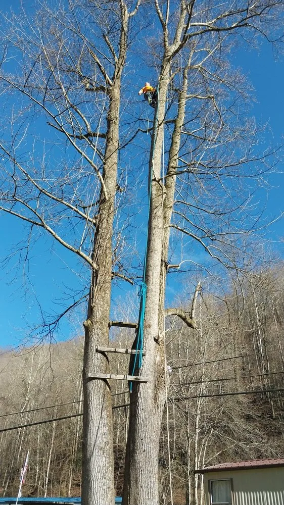 Expert outdoor landscaping in Pecks Mill, WV - Perfection Landscape