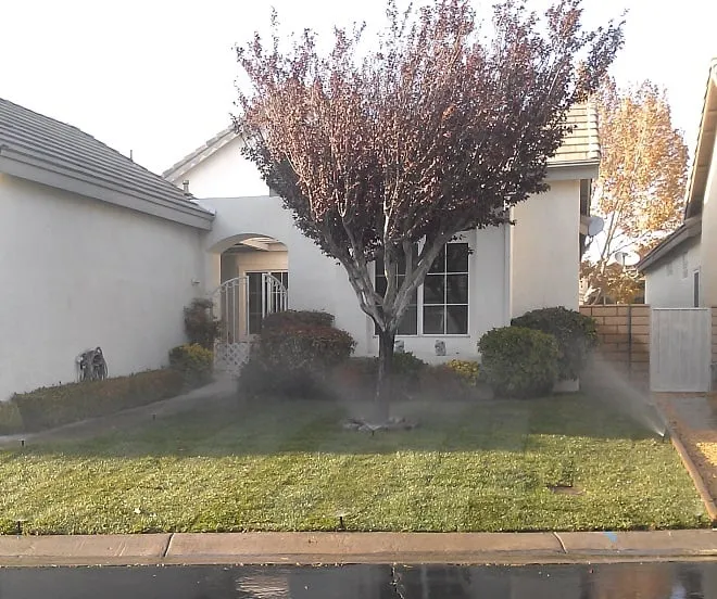 Professional residential landscaping for outdoor upgrades in Phelan, CA by Perfection Landscape