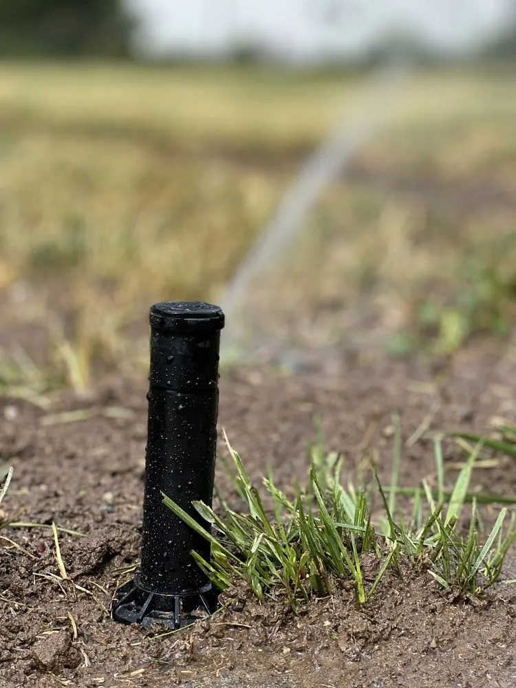 Custom lawn care service in Yakima, WA - Perfection Landscaping and Design