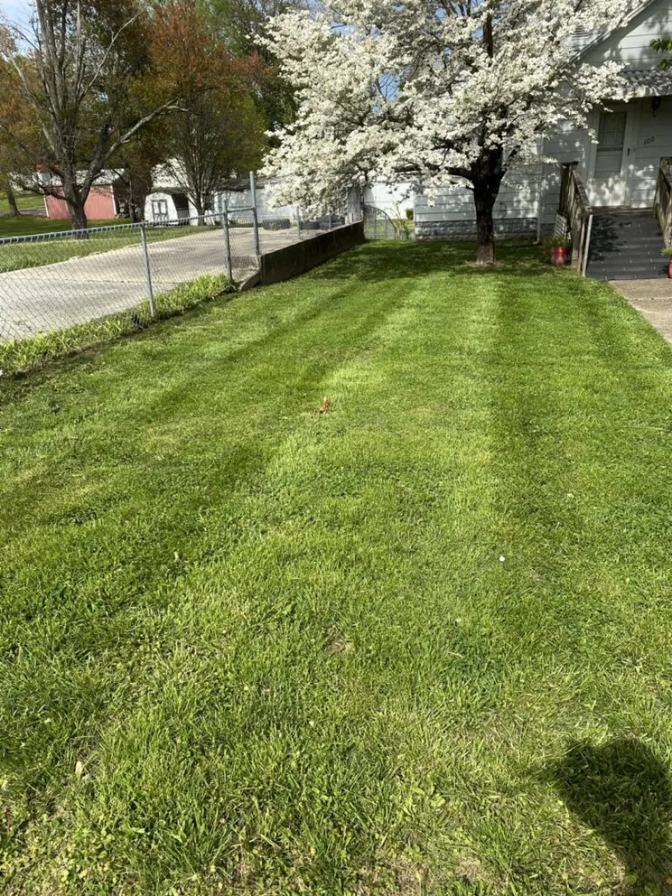 Affordable yard cleanup service for outdoor upgrades across Evansville, IN - Perfection Landscaping