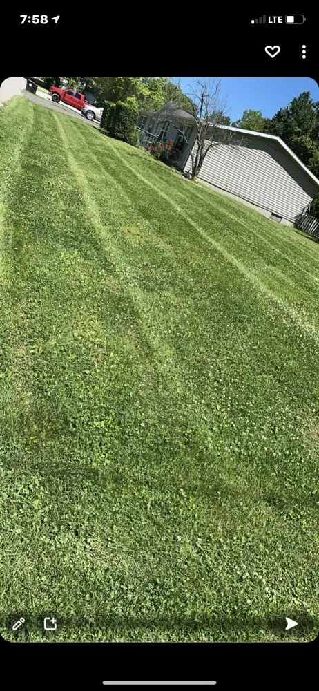 Top-rated outdoor landscaping for beautiful yards across Evansville, IN - Perfection Landscaping