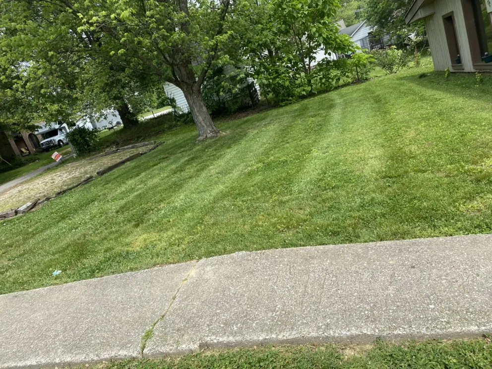 Local yard cleanup service near you in Evansville, IN by Perfection Landscaping