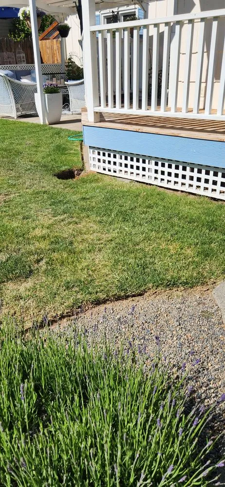 Custom yard cleanup service with custom design in Yakima, WA by Perfection Landscaping