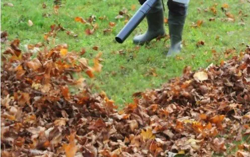 Affordable outdoor landscaping experts serving Owensboro, KY - Perfection Lawn & Landscape