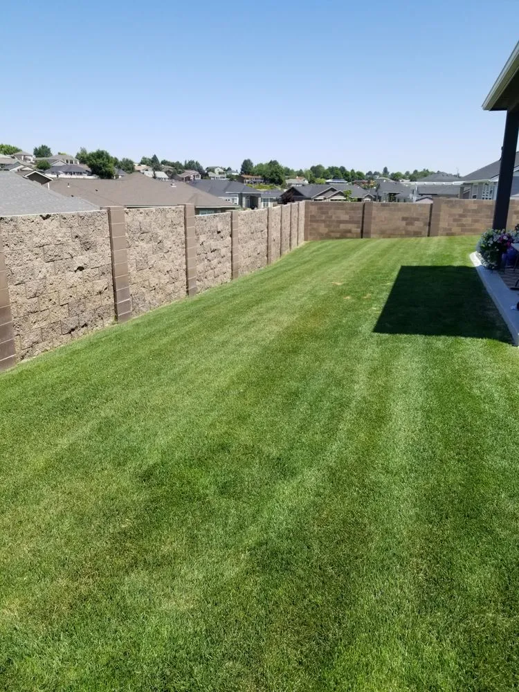 Expert yard cleanup service in Richland, WA - Perfection Lawn Care