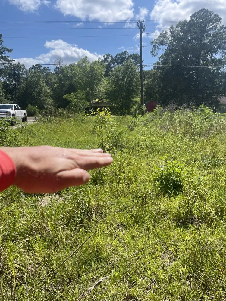 Affordable garden landscaping near you across Vidor, TX - Perfection Lawn Management