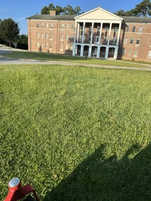 Perfection Lawncare Logo