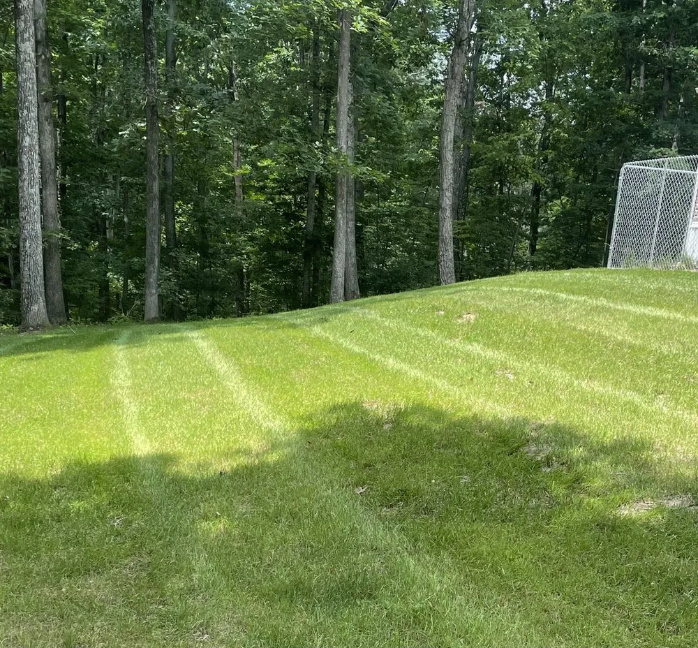 Professional yard cleanup service with custom design across Winchester, VA - Perfection Lawns