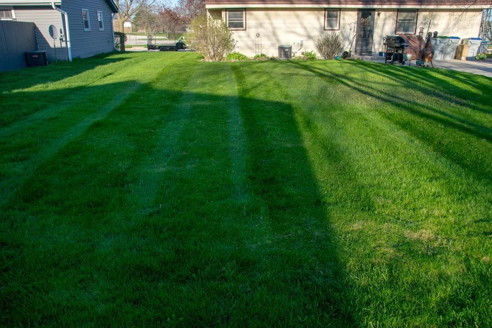 Reliable yard maintenance in Germantown, WI by Perfection Mowing