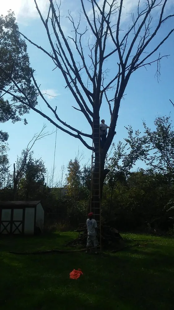 Trusted landscape design for year-round maintenance in Columbus, OH by Perfection Plus Construction & Landscaping