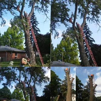 Perfection Plus Construction & Landscaping Logo