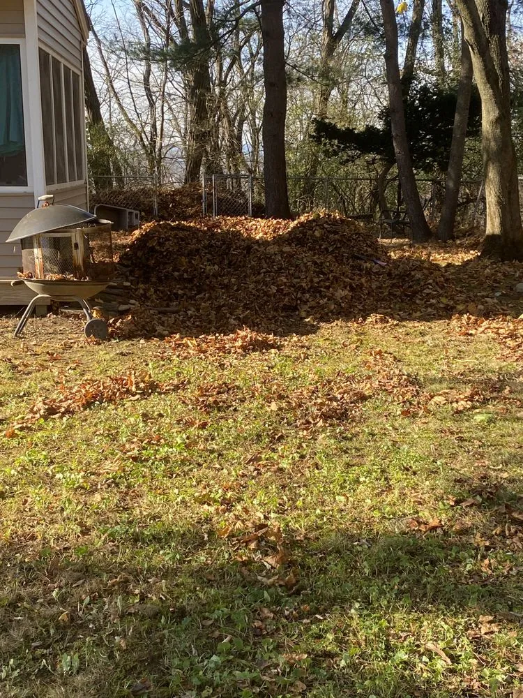 Expert yard maintenance with custom design across Albany, NY - Perfection Property Management