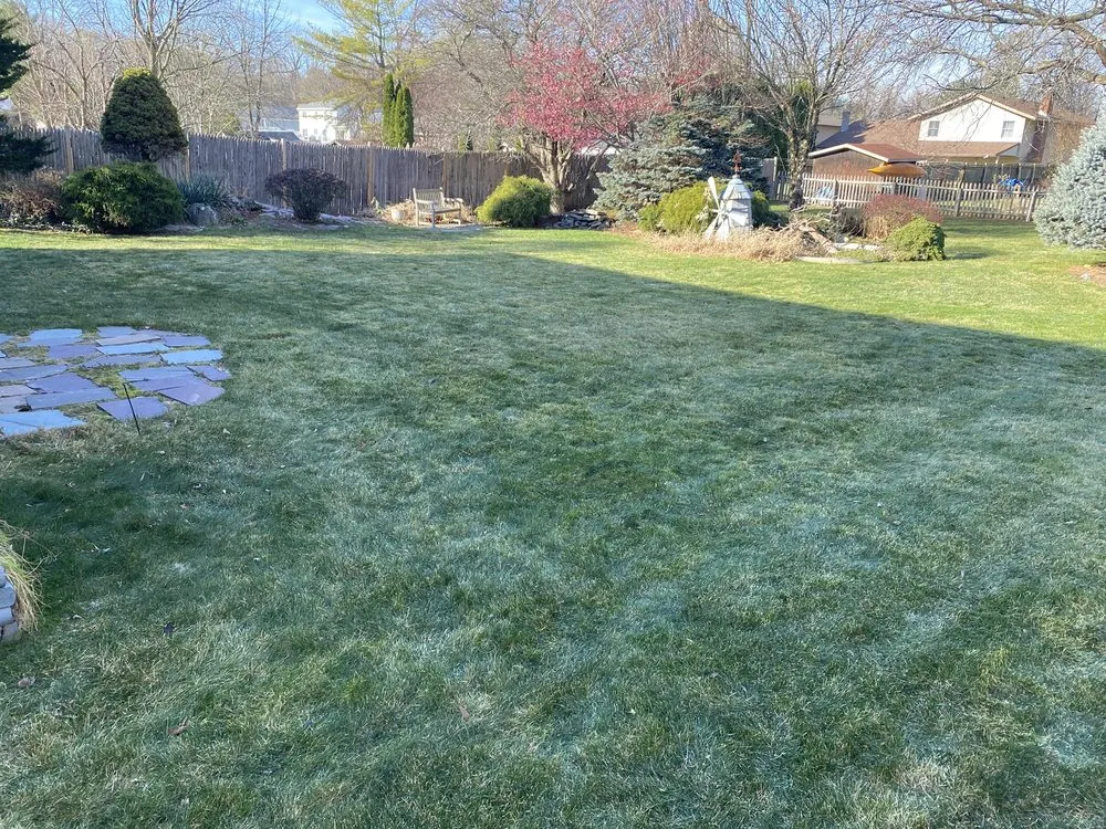 Professional garden landscaping in Albany, NY - Perfection Property Management