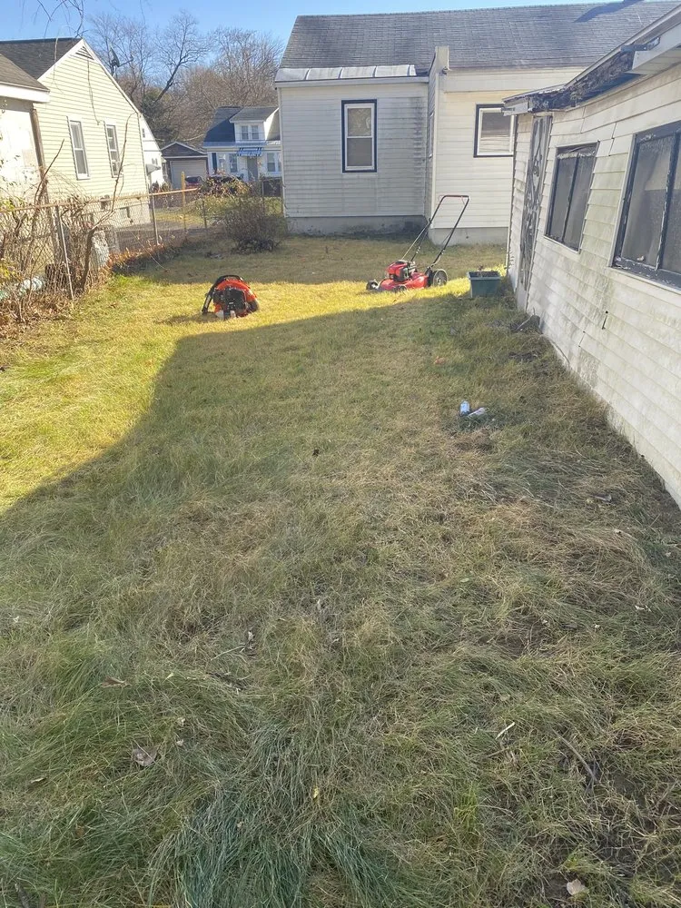 Expert outdoor landscaping for outdoor upgrades across Albany, NY - Perfection Property Management