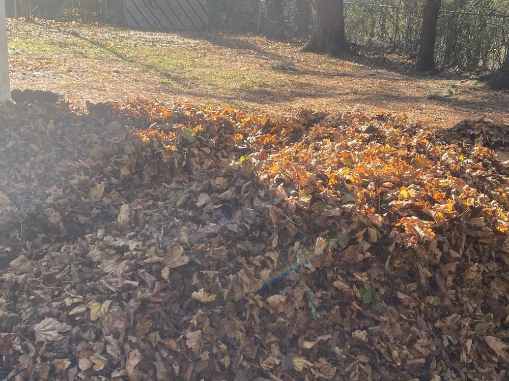 Reliable landscaping services with custom design in Albany, NY by Perfection Property Management