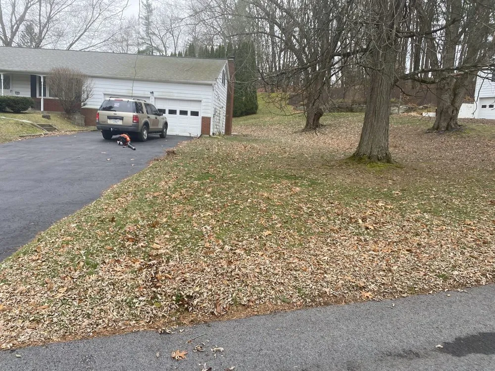 Affordable outdoor landscaping in Albany, NY - Perfection Property Management