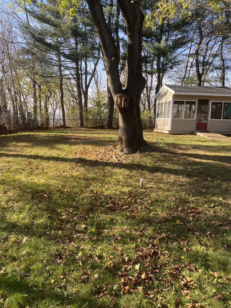 Reliable landscaping services experts serving Albany, NY - Perfection Property Management