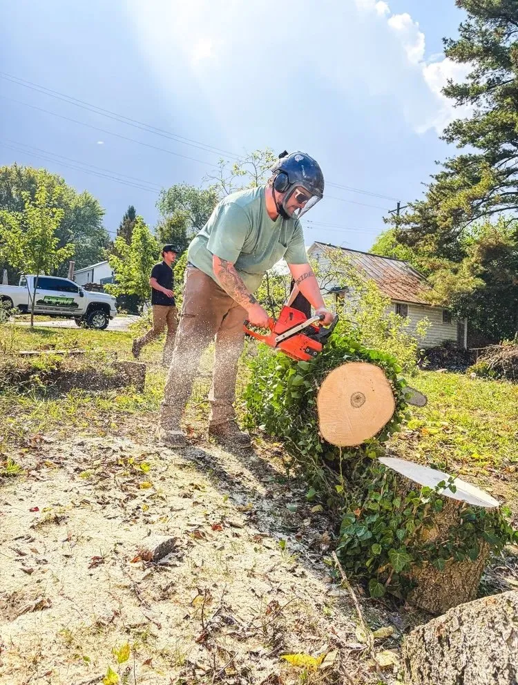 Top-rated yard cleanup service in Johnstown, OH by Perfection Property Management