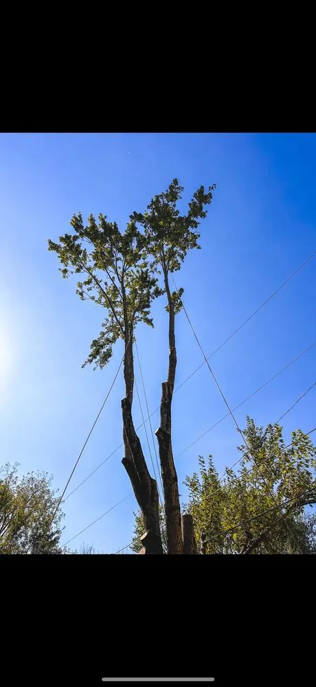 Trusted outdoor landscaping experts serving Johnstown, OH - Perfection Property Management