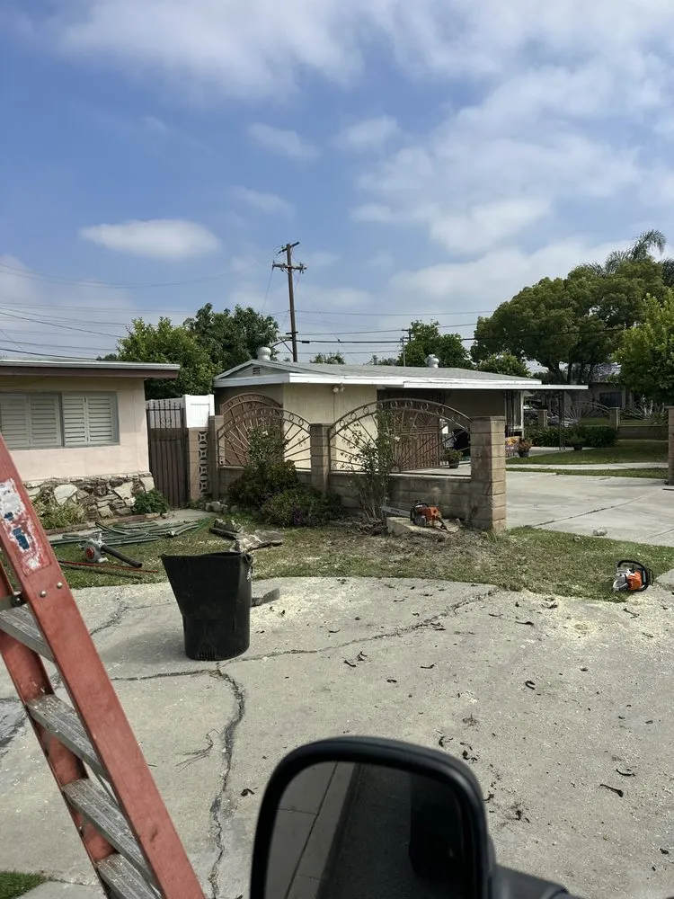 Top-rated yard cleanup service for residential properties in La Puente, CA by Perfection Tree Specialist