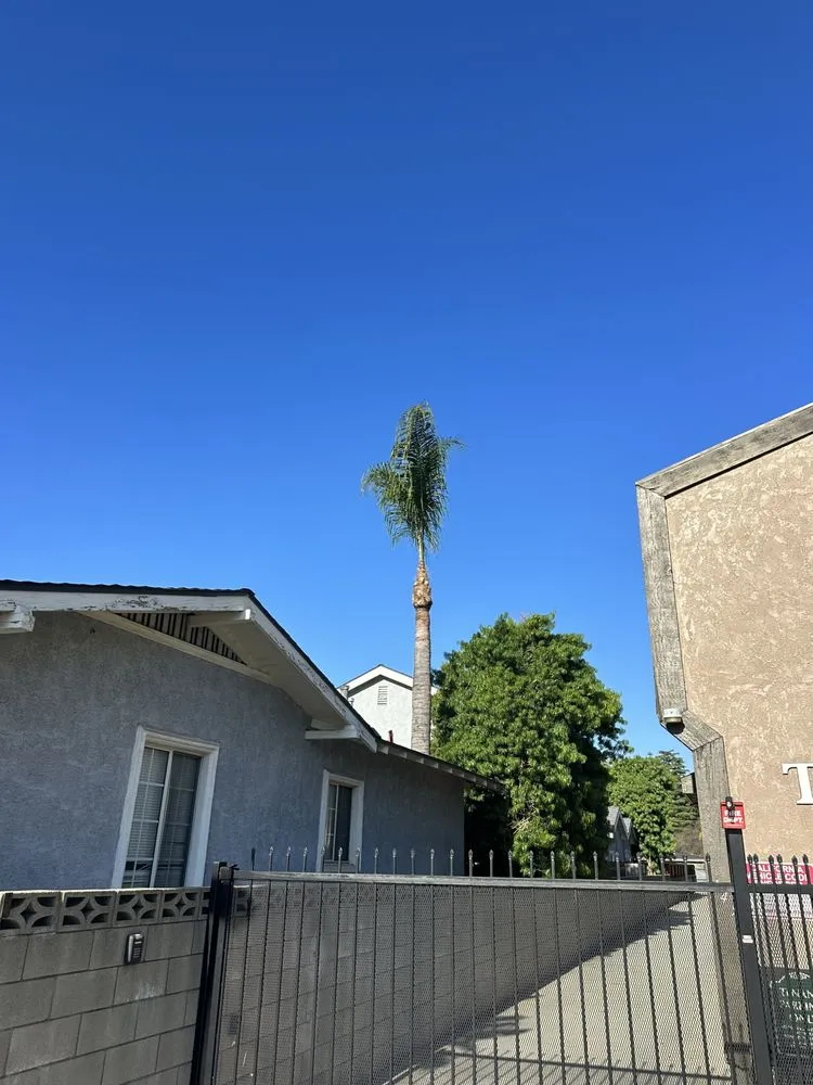 Professional landscape design in La Puente, CA by Perfection Tree Specialist