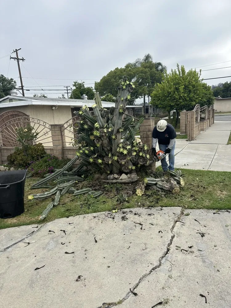 Professional residential landscaping experts serving La Puente, CA - Perfection Tree Specialist