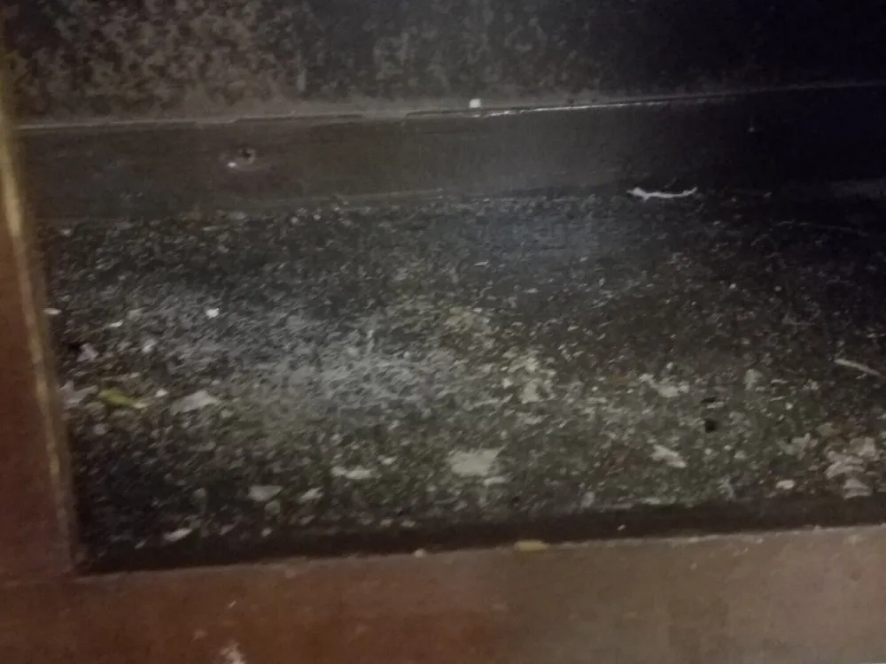 Affordable landscaping services for year-round maintenance across Copperas Cove, TX - Perfectionista