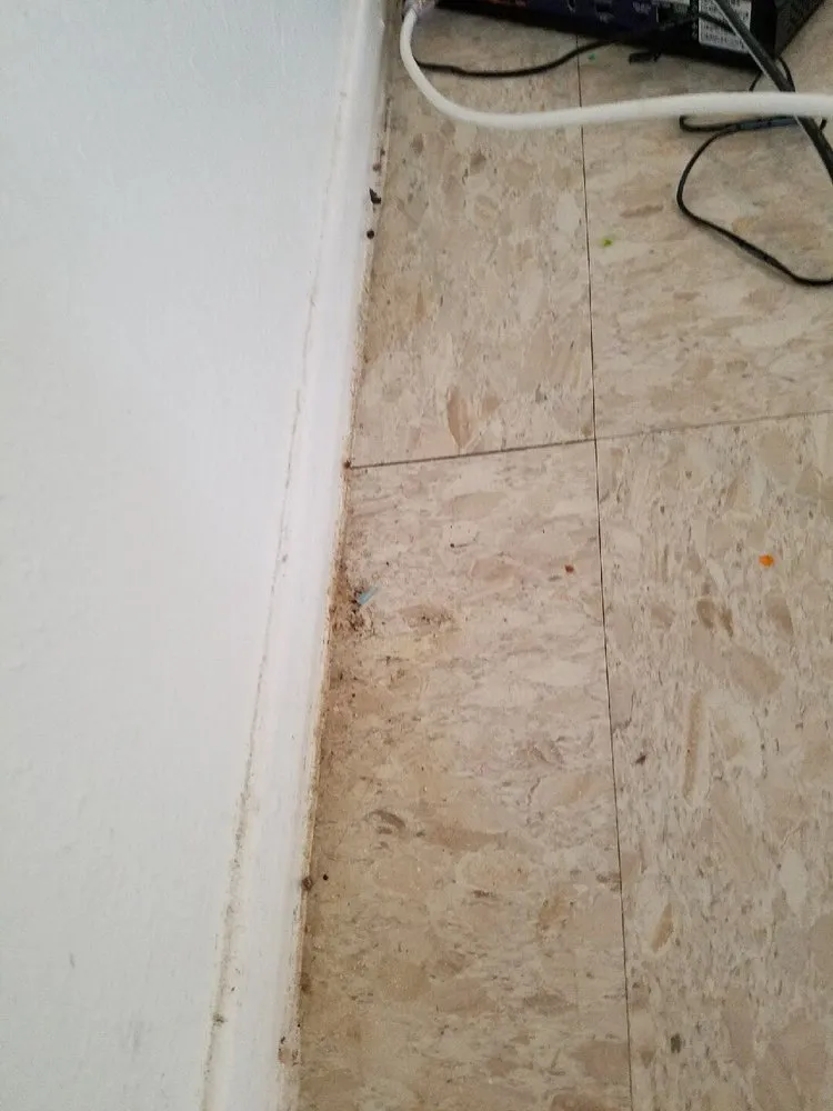 Affordable landscaping services for beautiful yards across Copperas Cove, TX - Perfectionista