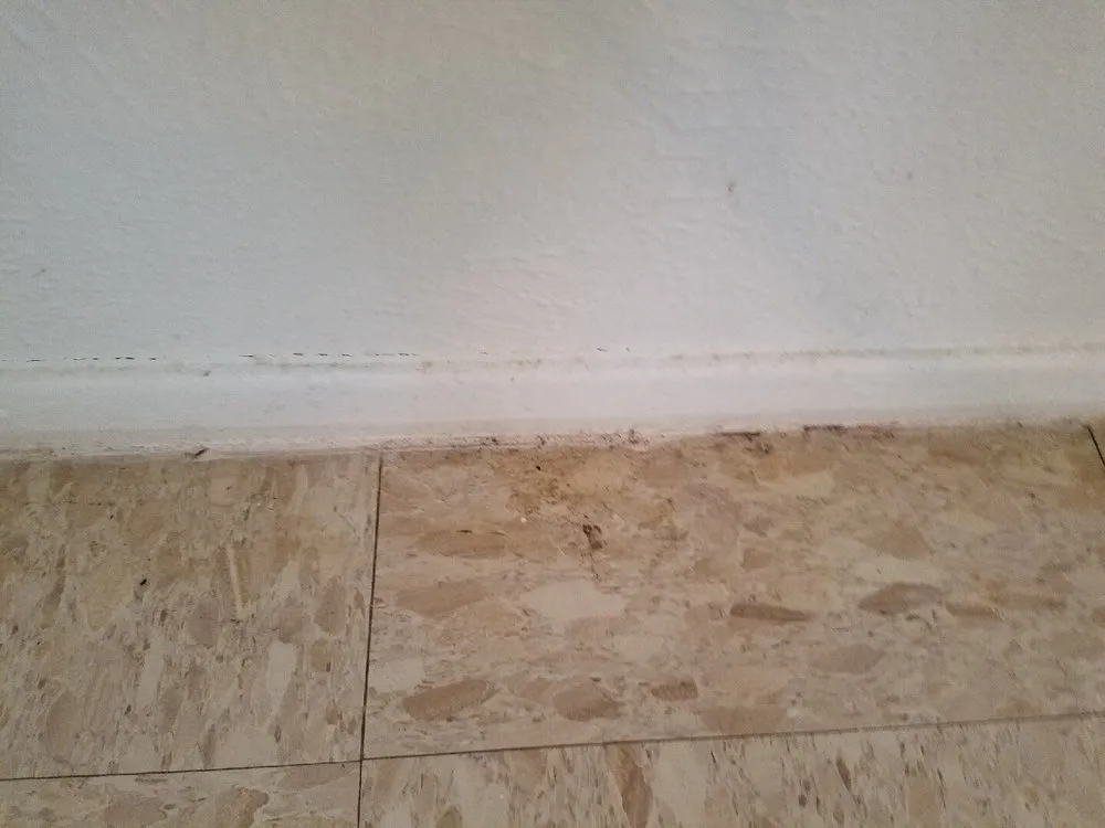 Local residential landscaping experts serving Copperas Cove, TX - Perfectionista