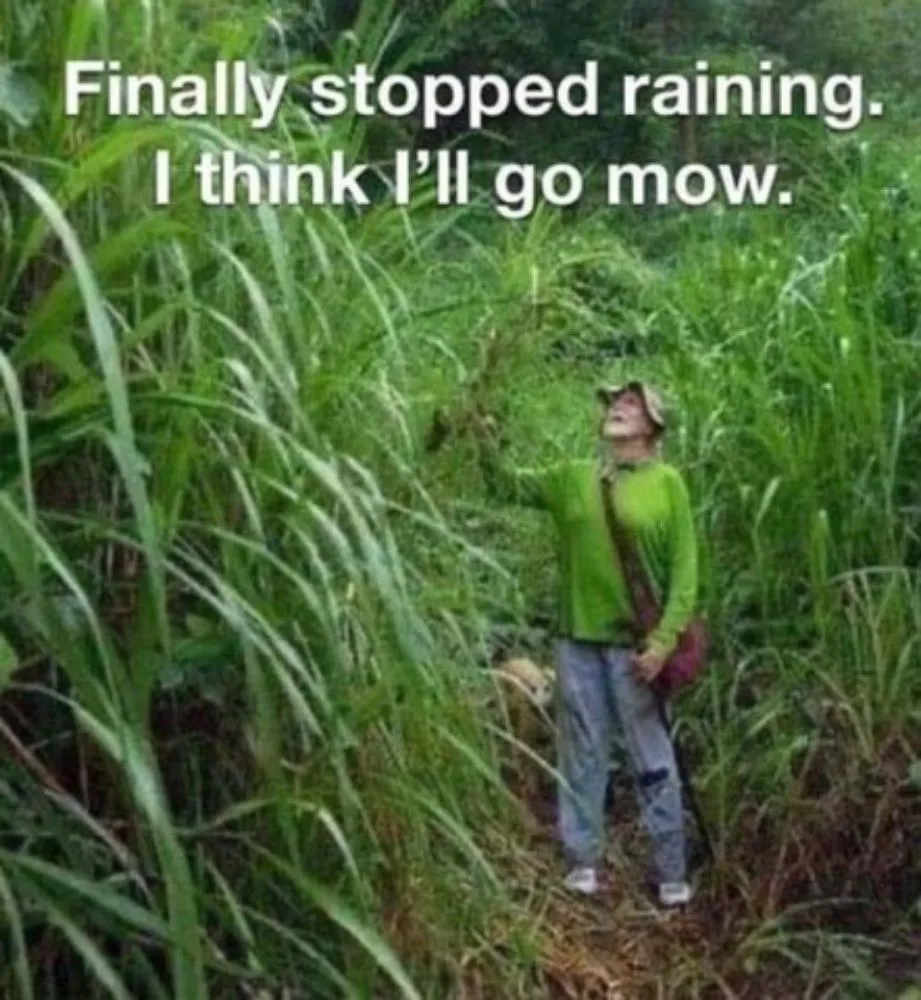 Trusted yard maintenance in Palm Coast, FL by Perfectionists Lawn by Chad