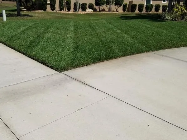 Trusted outdoor landscaping for beautiful yards across Palm Coast, FL - Perfectionists Lawn by Chad