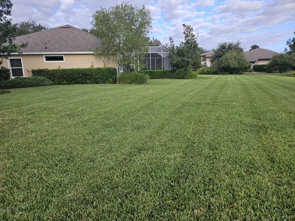 Professional outdoor landscaping in Palm Coast, FL - Perfectionists Lawn by Chad