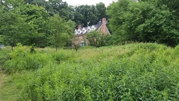 Top-rated residential landscaping experts serving Sinking Spring, PA - Perfection's Lawn & Property Maintenance