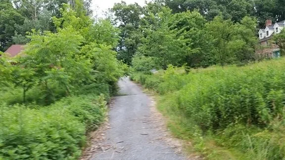 Professional yard cleanup service for outdoor upgrades in Sinking Spring, PA by Perfection's Lawn & Property Maintenance