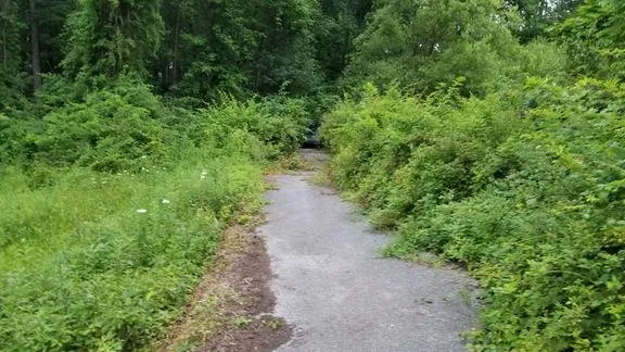 Expert landscape design with custom design in Sinking Spring, PA by Perfection's Lawn & Property Maintenance