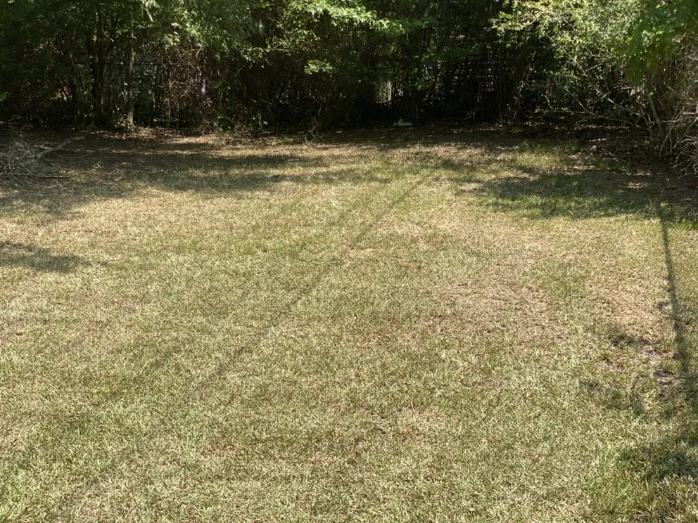 Affordable landscape installation experts serving Edgefield, SC - Perfections Lawn Care & Pressure Washing