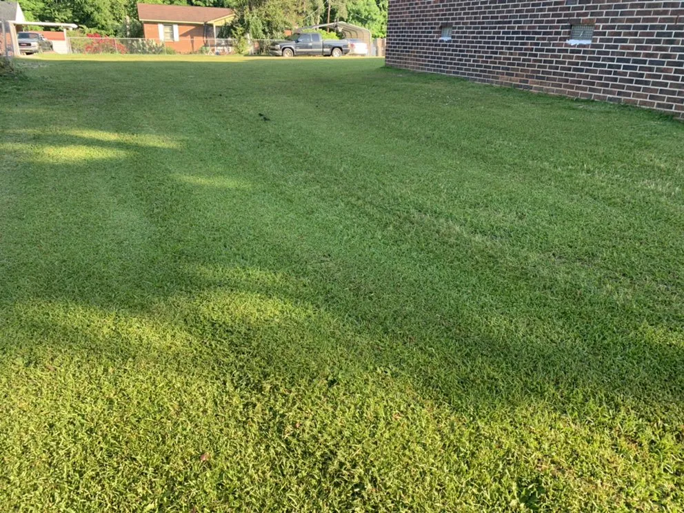 Local lawn mowing service experts serving Edgefield, SC - Perfections Lawn Care & Pressure Washing