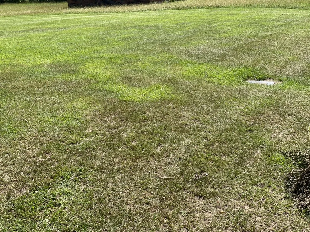 Custom yard maintenance for outdoor upgrades in Edgefield, SC by Perfections Lawn Care & Pressure Washing