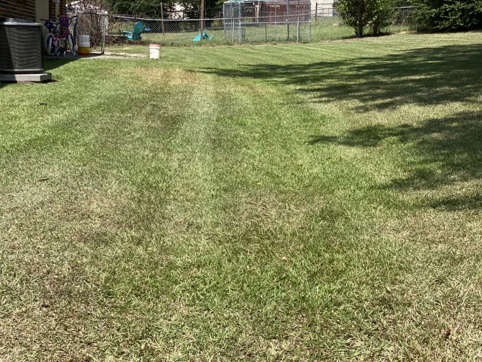 Custom yard maintenance for year-round maintenance across Edgefield, SC - Perfections Lawn Care & Pressure Washing