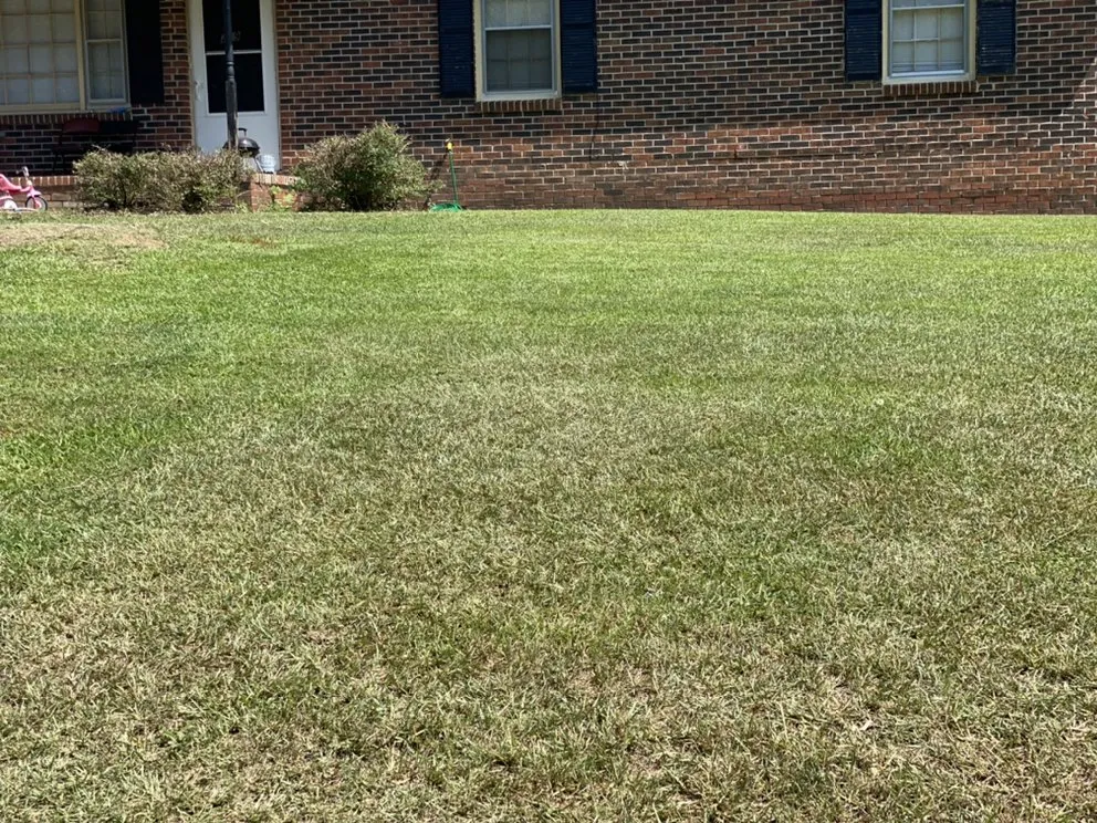 Trusted landscaping services in Edgefield, SC - Perfections Lawn Care & Pressure Washing
